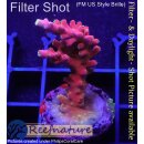 4B1-4 WYSIWYG - Acropora Red dragon WD, Höhe 42mm