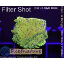 4A2-1 WYSIWYG - Montipora Blueberry Cheesecake