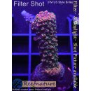 4A5-2 WYSIWYG - Acropora Red rubin Staghorn Rot Höhe...