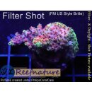 4A5-3 WYSIWYG - Acropora Red Planet Tischkoralle...