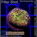 4A1-3 WYSIWYG - Montipora Rainbow